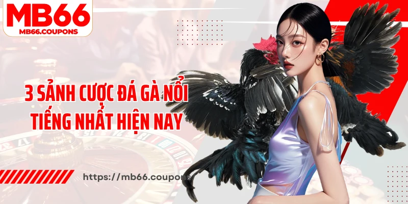 3 sảnh cược đá gà nổi tiếng nhất hiện nay