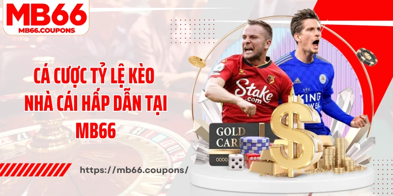Cá cược tỷ lệ kèo nhà cái hấp dẫn tại MB66