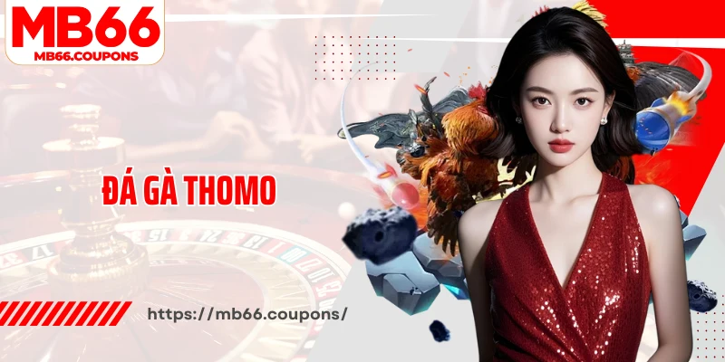 Đá gà Thomo