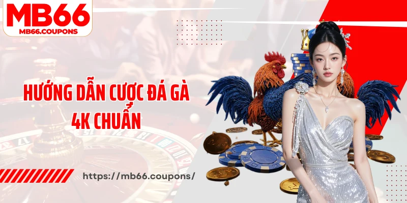 Hướng dẫn cược đá gà 4K chuẩn