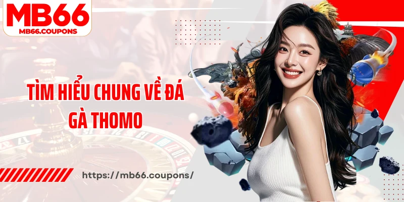 Tìm hiểu chung về đá gà Thomo