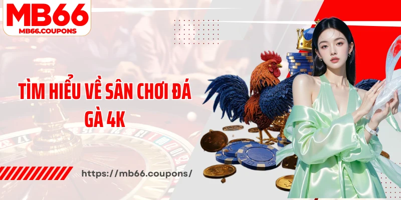 Tìm hiểu về sân chơi đá gà 4K